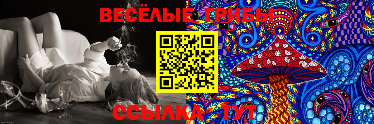 Галлюциногенные грибы GOLDEN TEACHER Бугуруслан