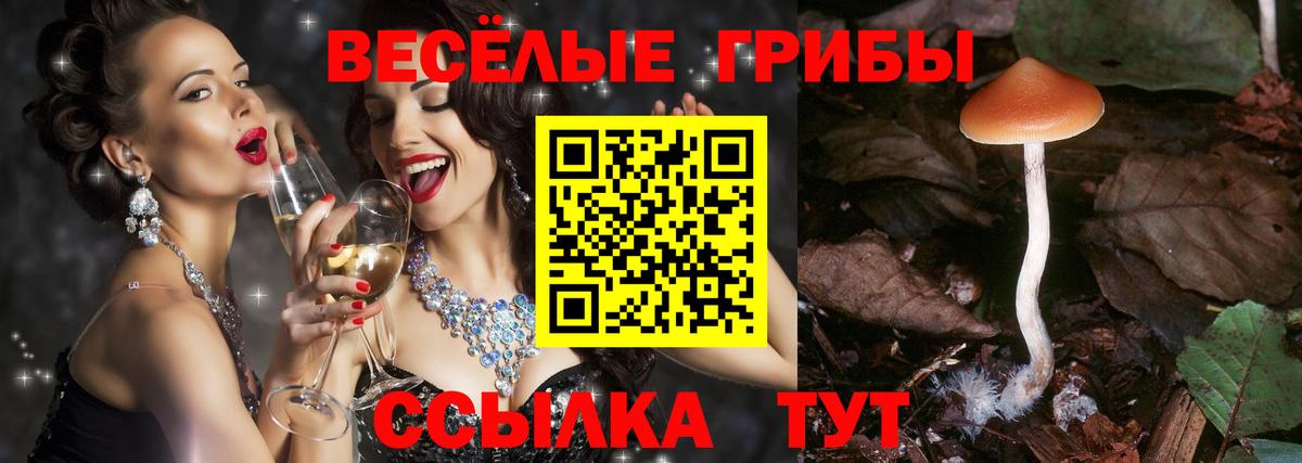 Галлюциногенные грибы Cubensis  Вход с VPN  Бугуруслан 