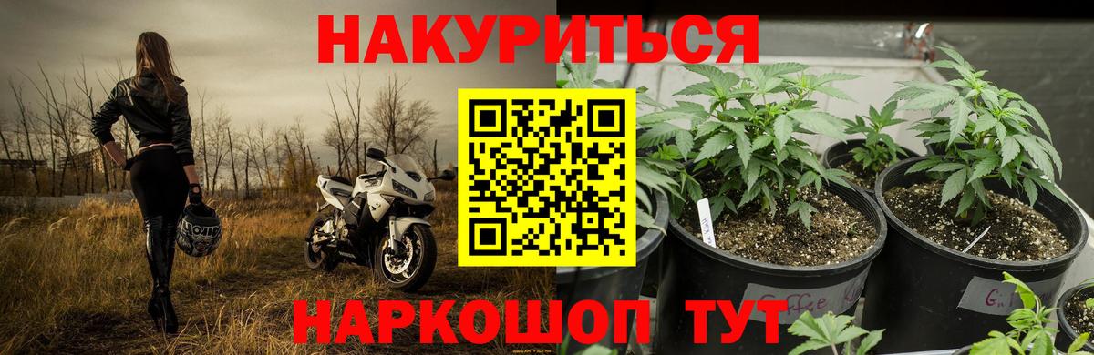 Шишки марихуана MAZAR Бугуруслан